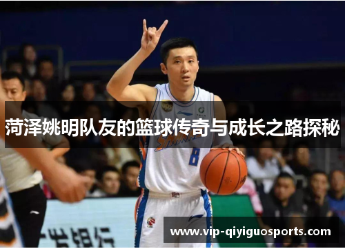 菏泽姚明队友的篮球传奇与成长之路探秘