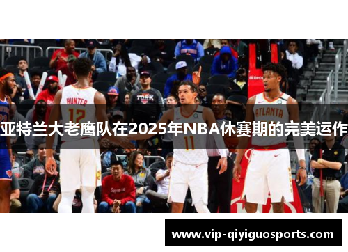 亚特兰大老鹰队在2025年NBA休赛期的完美运作